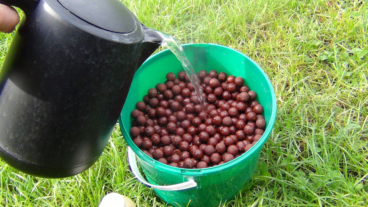 Hydrated berry boilies