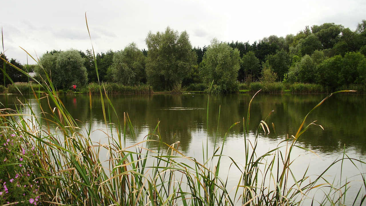 Vermuyden lake