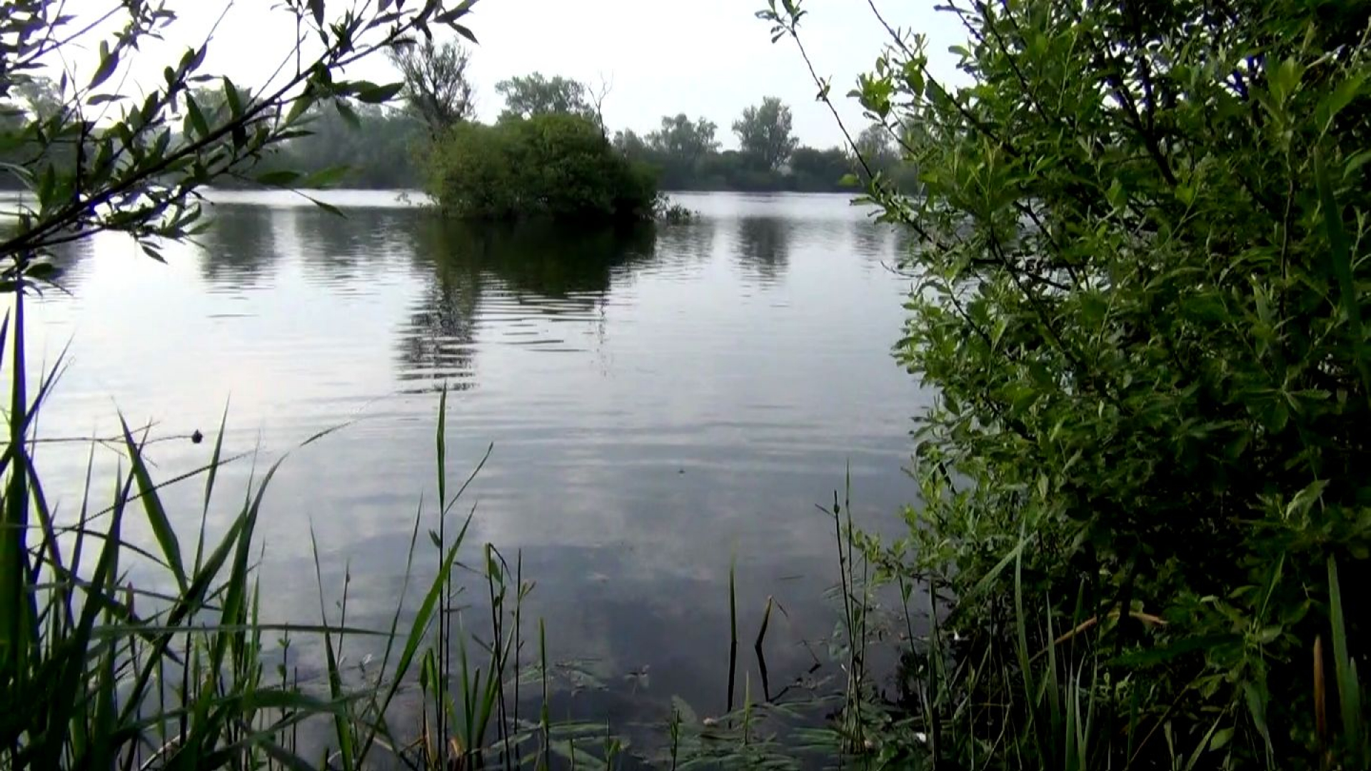 The Hole, a swim that has all the characteristics you need for a short session