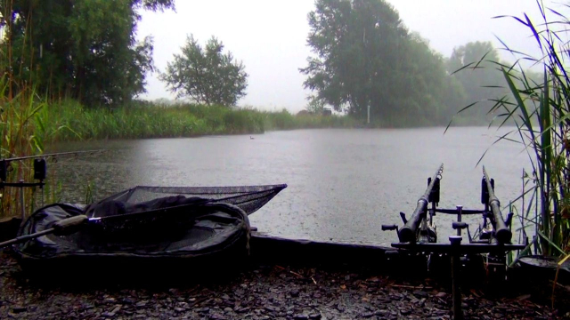 Early evening rain shower willow 2012