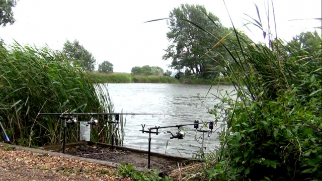 A new south westerly blowing into my swim willow 2012