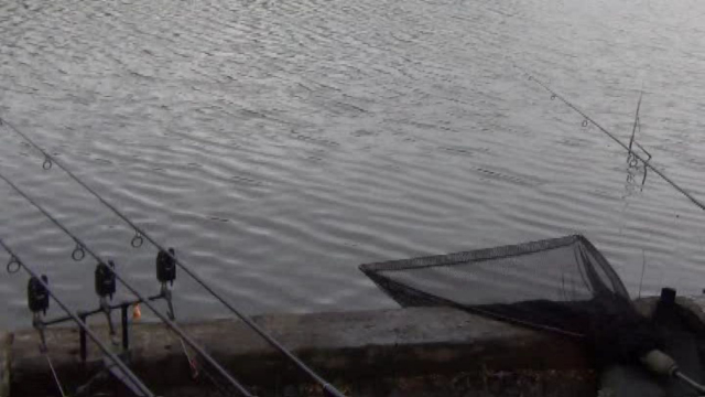 The middle rod bobbin hits the top, and 40lb of carp is on the end