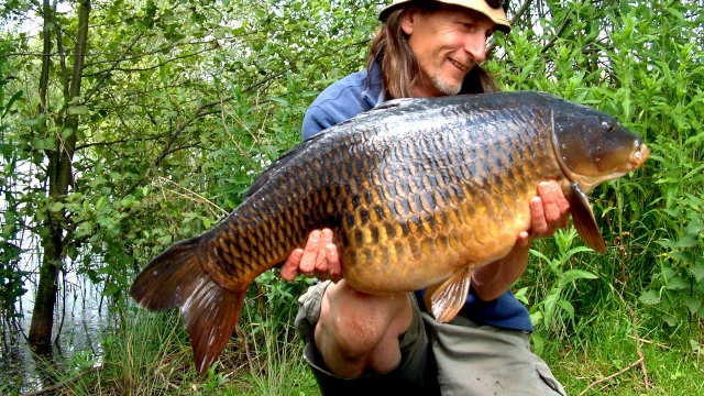 Woolpack lake #3 30lb common
