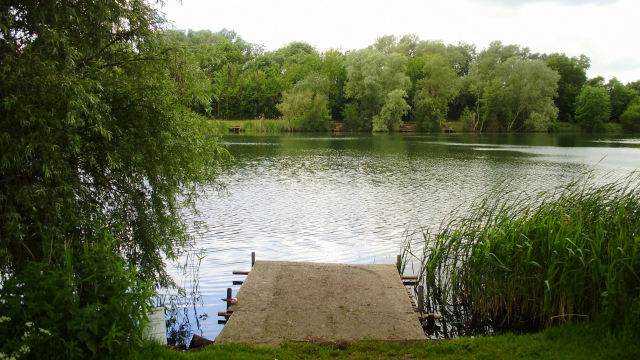 Swim 12, loads of room and good spots within yards of the bank