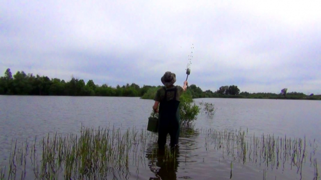 Putting out lines of bait on the gap to intercept carp moving through