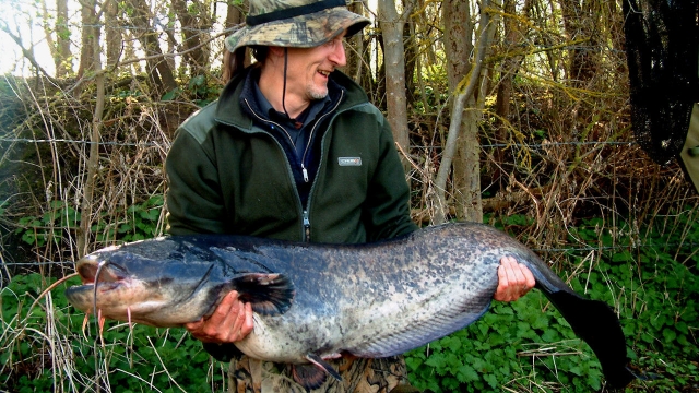 Willow lake 50lb Catfish