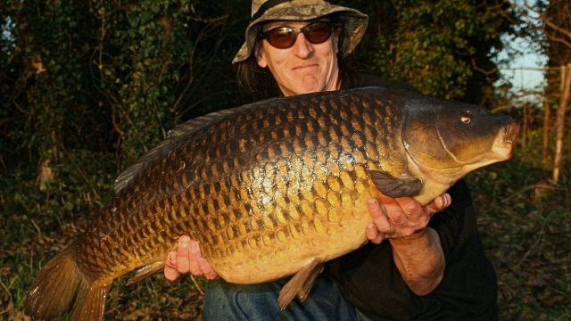 31lb of Pingles Common caught on Winter Berry (aka Very Berry)