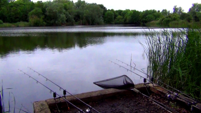 Sitting on the back of an old wind - Willow Lake 2012