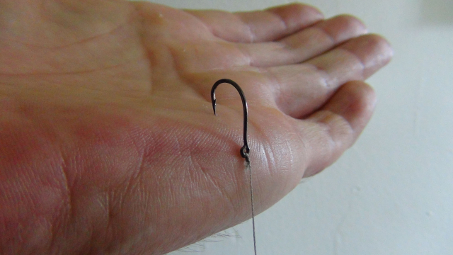 The Right way to test a rig on your palm