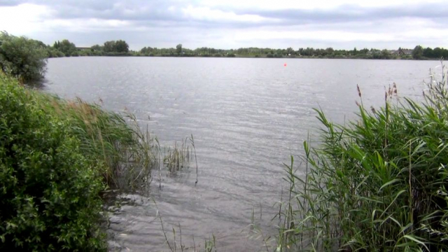 Meadow Lake looking out from the north-east corner